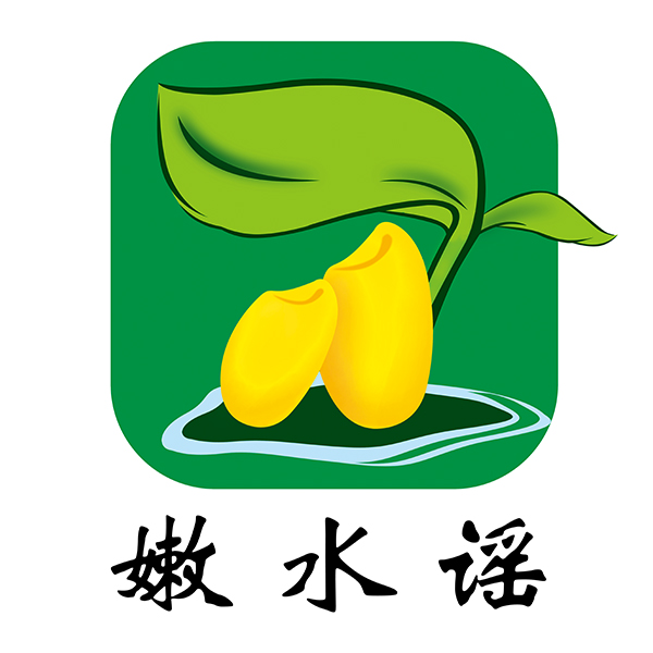 齐齐哈尔正规的软件著作权登记公司