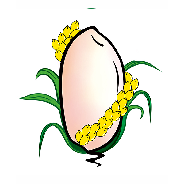 齐齐哈尔正规的商标注册公司