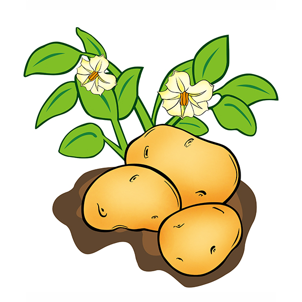 绥化正规注册商标价格